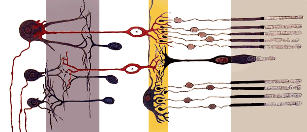 E06c62088c0d5992635e98fad5124fe743c68b44