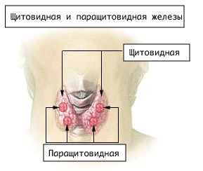 6d578eebd2beb82925c80a46e1e503e70ab790ec