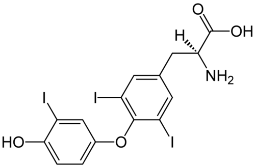 5ffc6b5b964bd59399e97bef0794d08e7e4eb89a