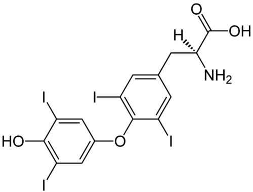 2a2d447f8ef6a13202eb396999d9a8269933711e