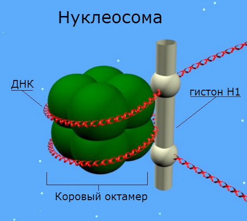 B16c400323500b840a0f2eac24036061ec9920f0