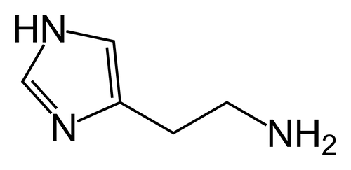 02ed166afce7c4371b20e77d2498058e4e15c4d0