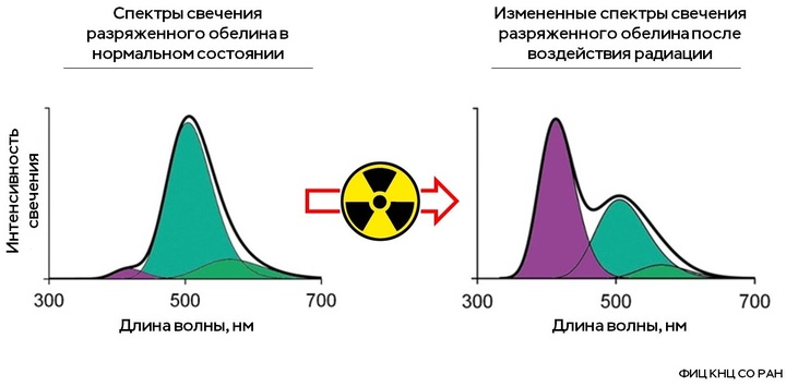 489c98c1c2f7229c93d4f1926d19b9fe6667e963