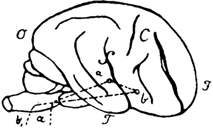 D4df3dfdca5f507aa829b076d64044c14ecc0c55