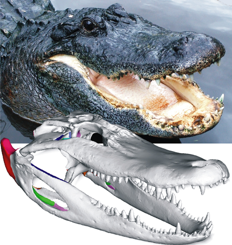 F69a4c064ee81603241f0e13dcae7d40c63d70b4