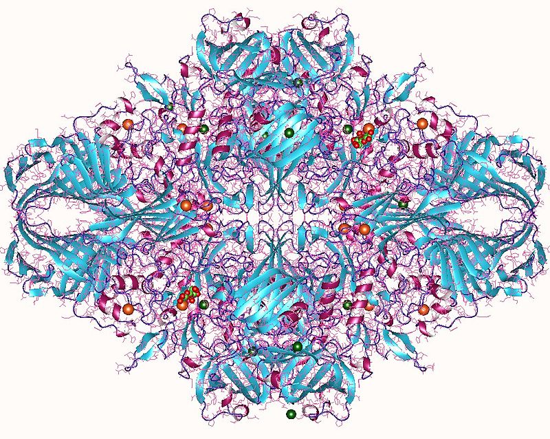 05dd3bc8997a2d500016ff609791ba80321e828f