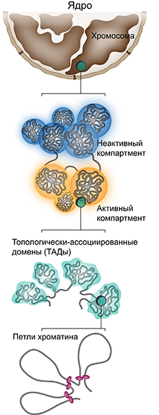 324ca5e2b74207a45ae283d068731daa13e4b32f