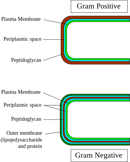 1af54c132a587ba2d5629314f0f3e62d7a1a46e2