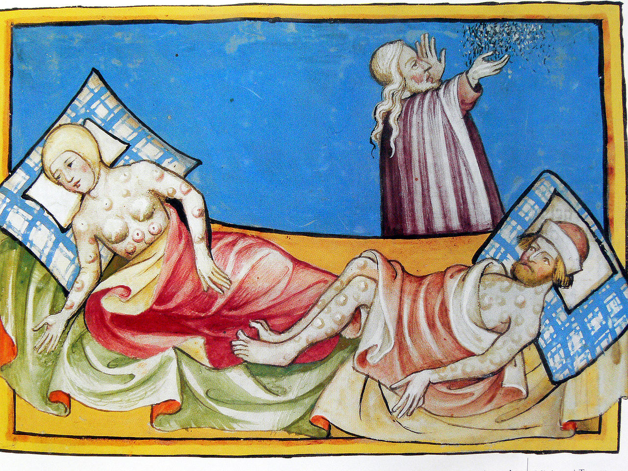 the genesis history and effects of the bubonic plague the genesis history and effects of the bubonic plague