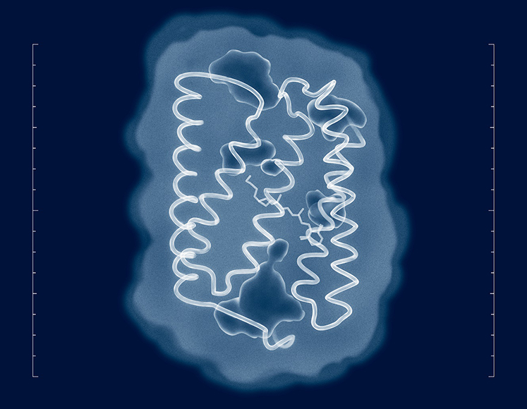 196ea207a7aa0e48a77ce2bf8206f6e1bf4ba218