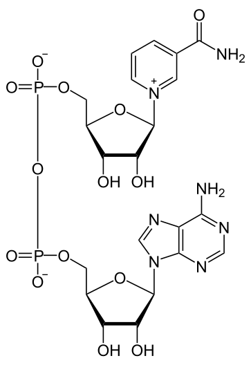 D32965e5249df5e637a5fb887310b0b046deb7f2