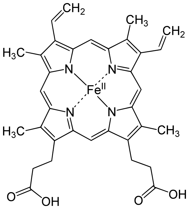 8cf6894427636499dbb5fe06240673a755343b89