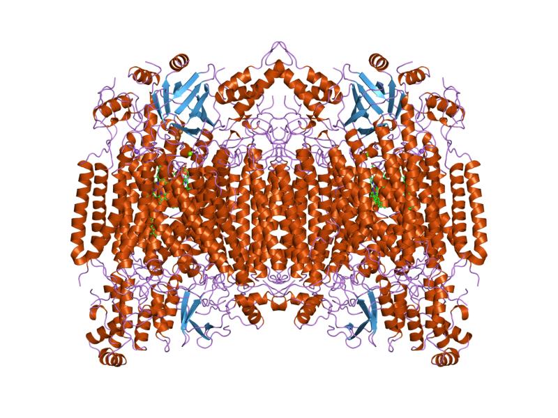 6cbbab5f425b42aeeb38261030fda85f2ea9402b