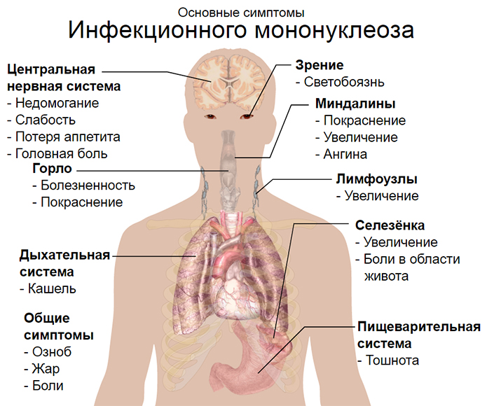 A61aa2fb0bef67c9cdfe539deec05dcdca318c90