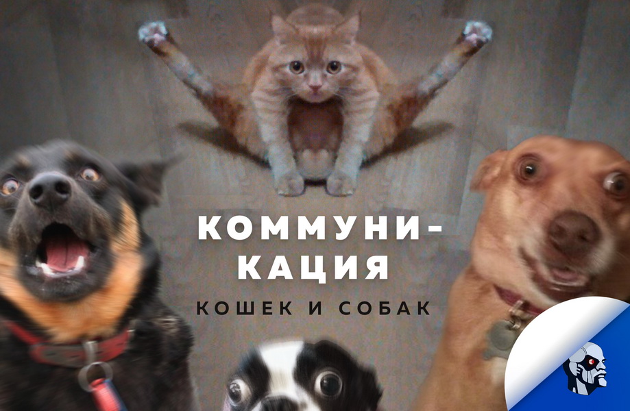 Cf04c610092a688f9affde0d3f95adb994f3a643