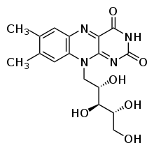 36a46131e4e3e42484482e3d588f37c2a20293f9