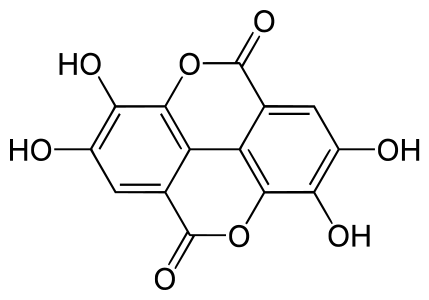 3b8f02fe8e54d2e606681d39bce5bfbc176fc1cc