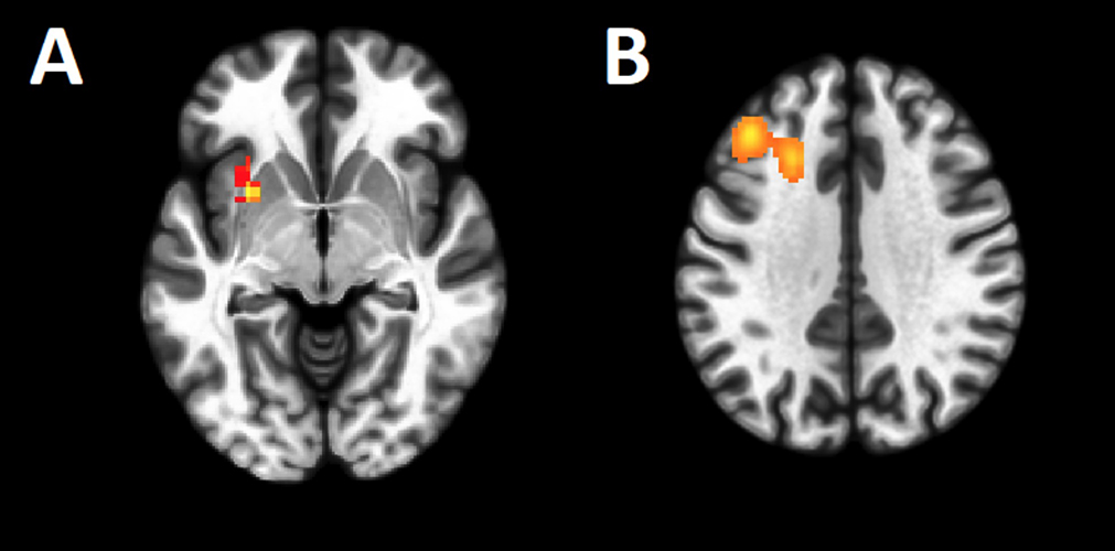 Ae403a279d0040826e221fa7585ed915e571b0b1