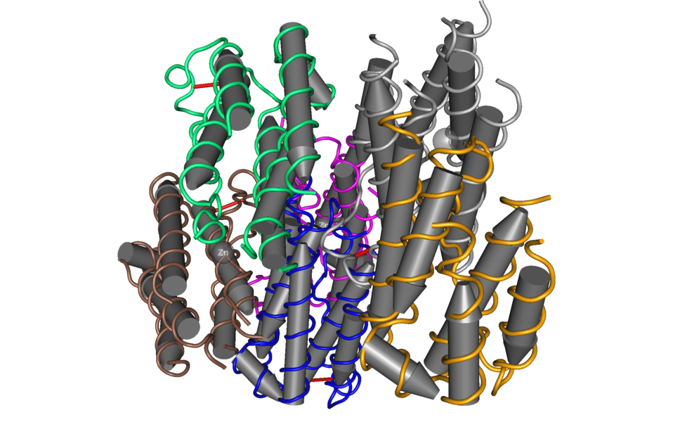 D7556e92032762d88be2d2d19b3de3e6de62b081