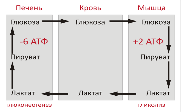 Bd8ad8f4108db51bcd09b4f13bd712fdcf920a41