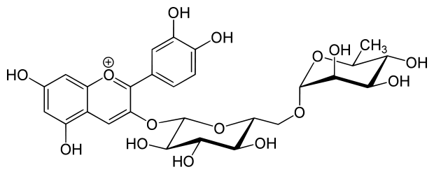 3ac0681ff614ab0cb659f01ab8ce06675f7e5c66