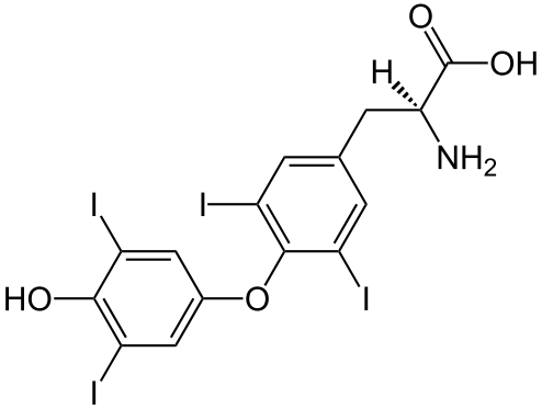 3e7c023b918443384e83eff6c057c14048ed7c66