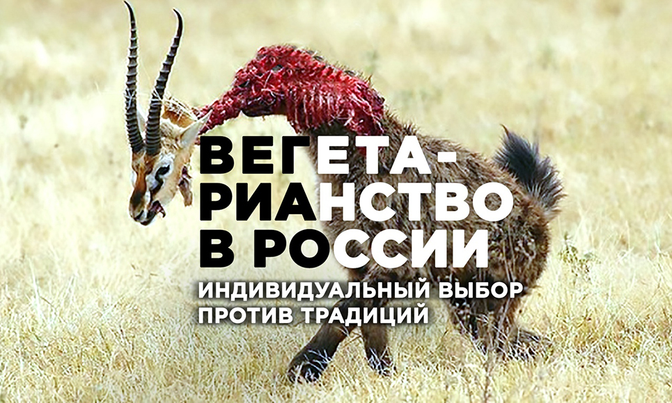 1c70c39b2e43adeff6d95d3c9f9c73b035f2c6ed