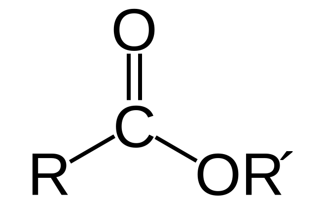 44d8321d60518b8ee36670d0c27c2258f745f42b