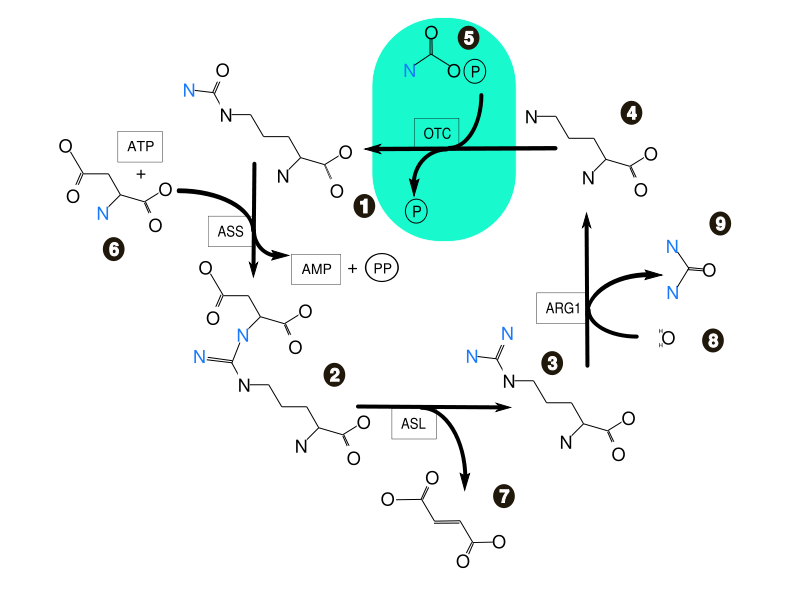 Ed3b9cb6128c259ebc5d6146390ddf26b262443f