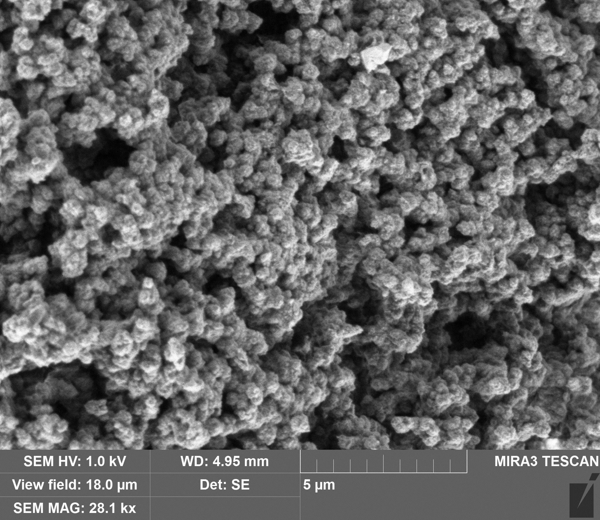 Поверхностный углерод. Микроскоп TESCAN Mira 3. Электронная микроскопия Титан. Микрофотография полимера. Бетон микрофотография.