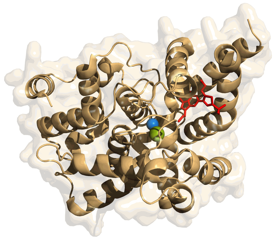 F74d7dd58190f75b4bddec52c0b57aa062c24e62