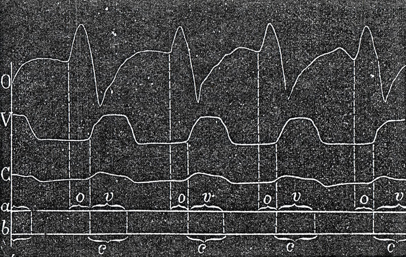 De5efa570cb7c89fcc5256c51795c91d88fdf405