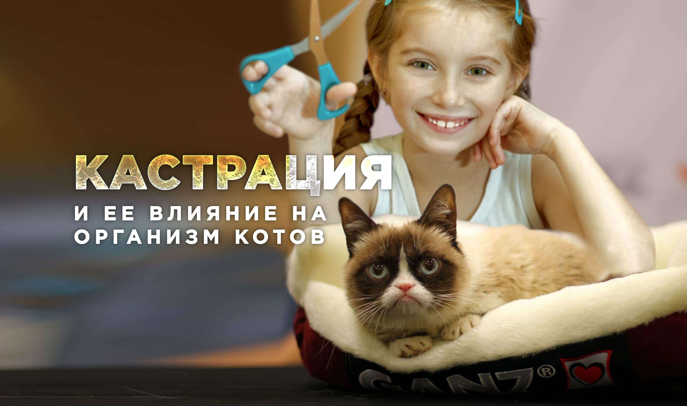 C4141553ec720ad5dfde9ef90f8d926cdd506bc5
