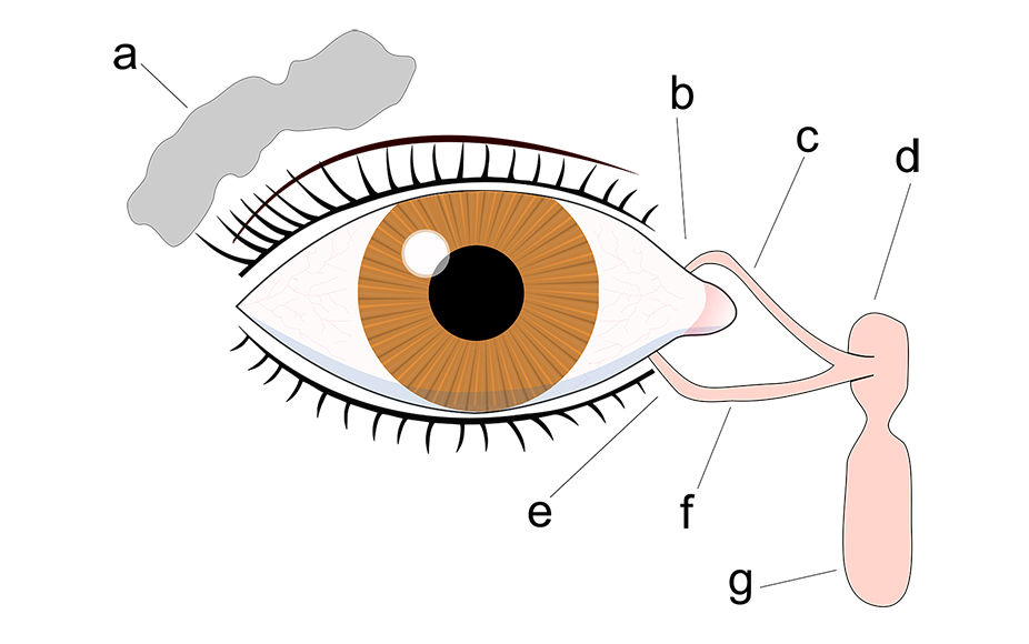 01fa0774822891b0da9437bcc5437428f8f62dc0