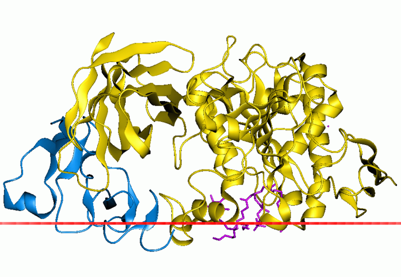 2a9cc4edf12eb0f9c436b2c3c47484203e857d99