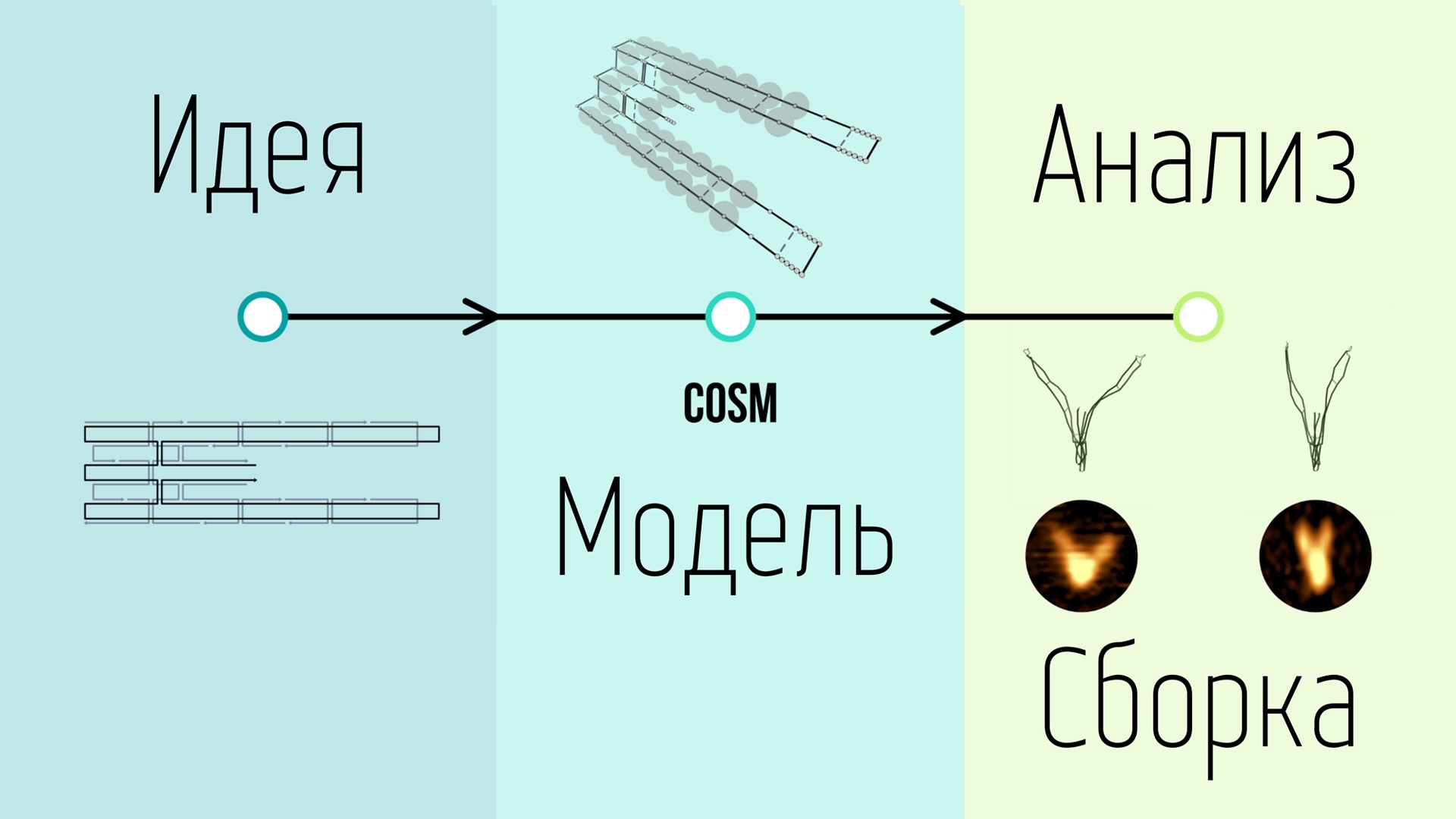 Биологи шесть дней играли партию в крестики-нолики на самом маленьком в  мире поле - Индикатор