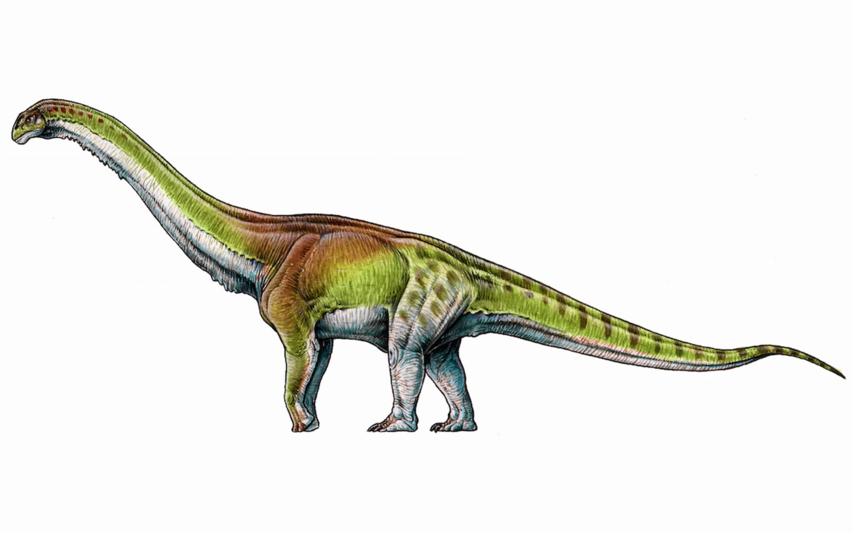 Найден самый большой динозавр в мире - Индикатор
