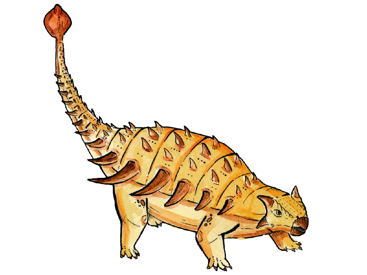 Анкилозавр. Диноза́вр Анкилозавр. Анкилозавр Анкилозавр. Анкилозавры (панцирные динозавры). Травоядные динозавры с шипами
