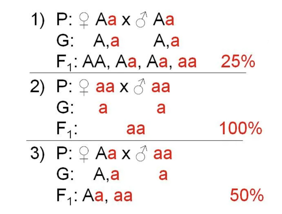 Porno jinsiy aloqa geylar bilan bogliq Yalangoch qizlar