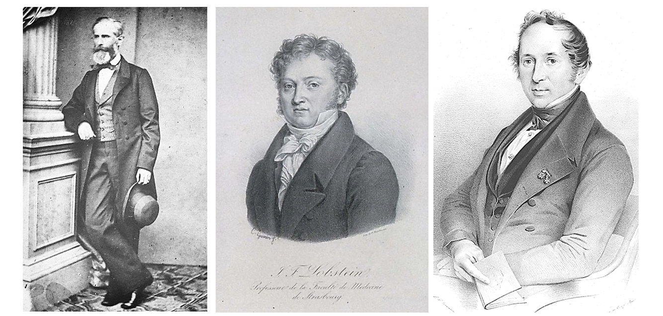 Джордж Херман Фон Мейер, швейцарский анатом (1815–1892); Жан Жорж Кретьен Фредерик Мартин Лобштейн, французский акушер и патолог (1777-1835); Виллем Вролик, голландский анатом и патолог (1801-1863)