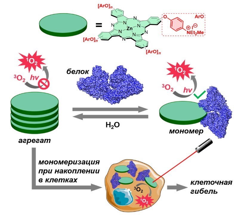 Найден способ превратить недостатки фотоактивных молекул для лечения онкологических заболеваний в достоинства