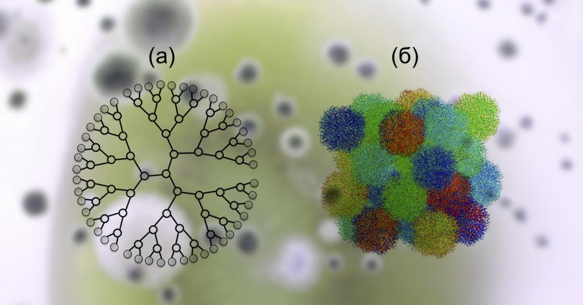 Химики выяснили связь между структурой полисилоксанов и
