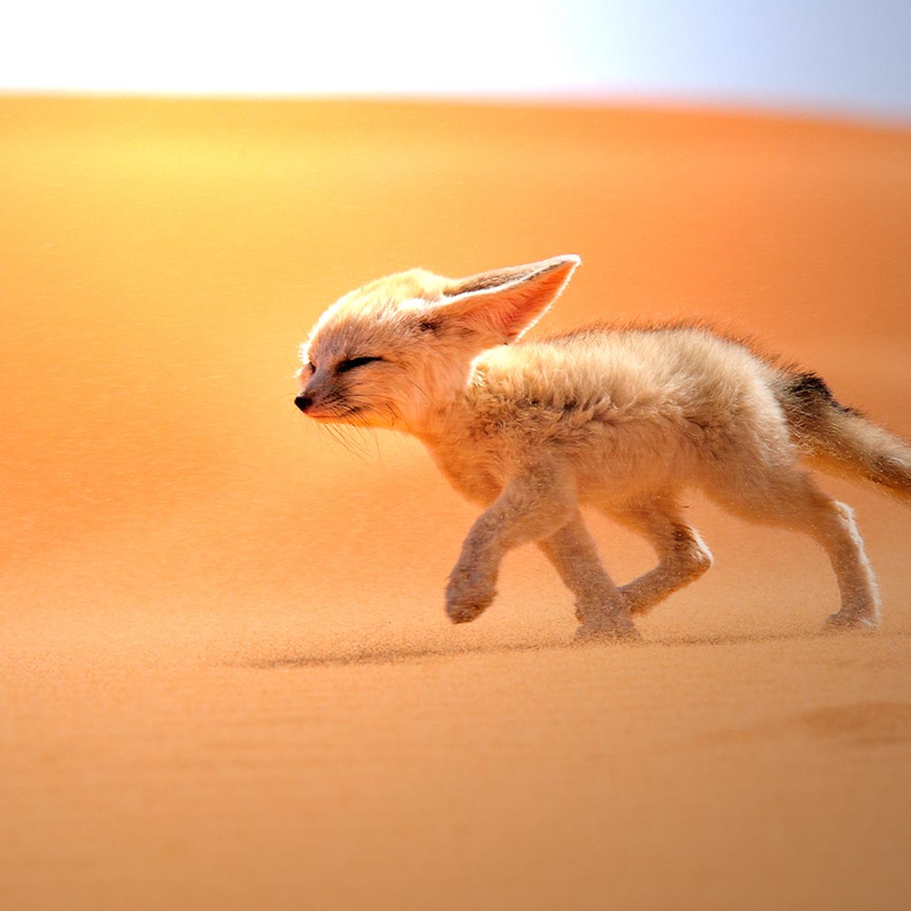 Сильное потоотделение может быть не только физически неприятным и приводить к неприятному запаху, но также может вызывать психологическое неудобство. Люди могут чувствовать себя неуверенно и страдать от социальной фобии, избегая ситуаций, которые могут вызвать потоотделение. Это может серьезно повлиять на их качество жизни и поведение в обществе.