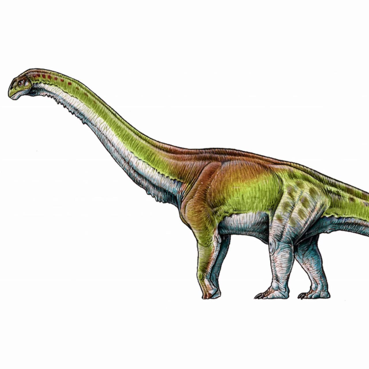 Найден самый большой динозавр в мире - Индикатор