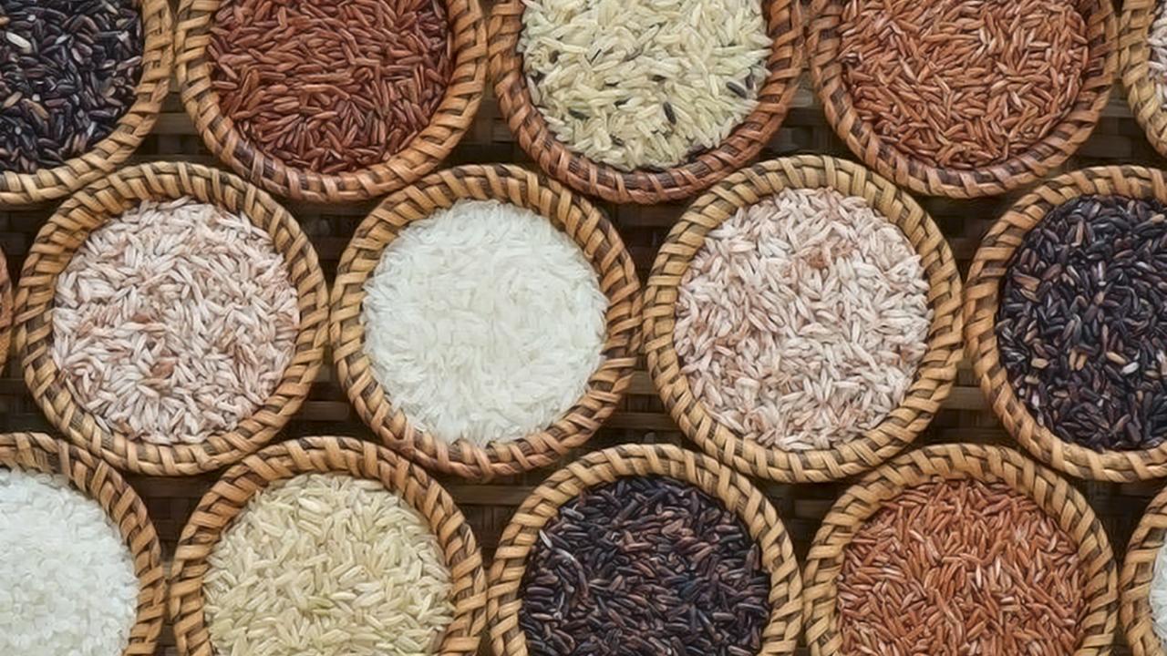 Виды Риса С Фото С Названиями