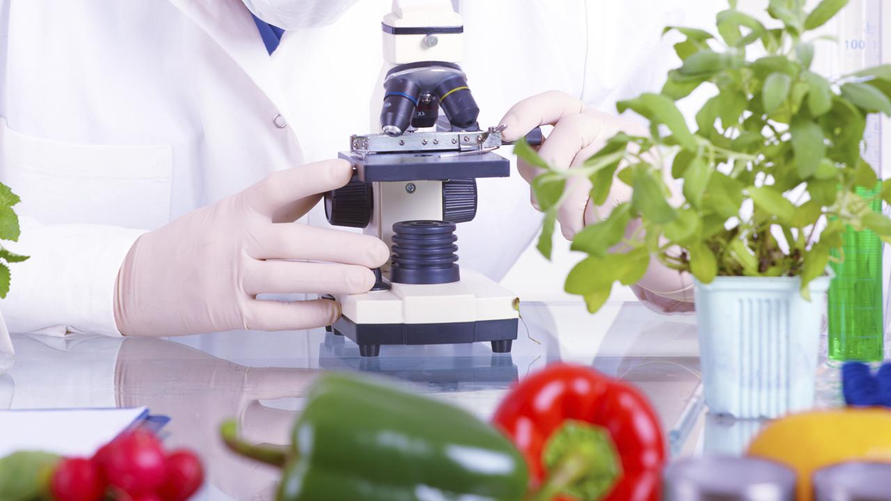 экспертиза пищевых продуктов. наука пищевых продуктов. биотехнология пищевых продуктов. безопасность продуктов питания. пищевая биотехнология.