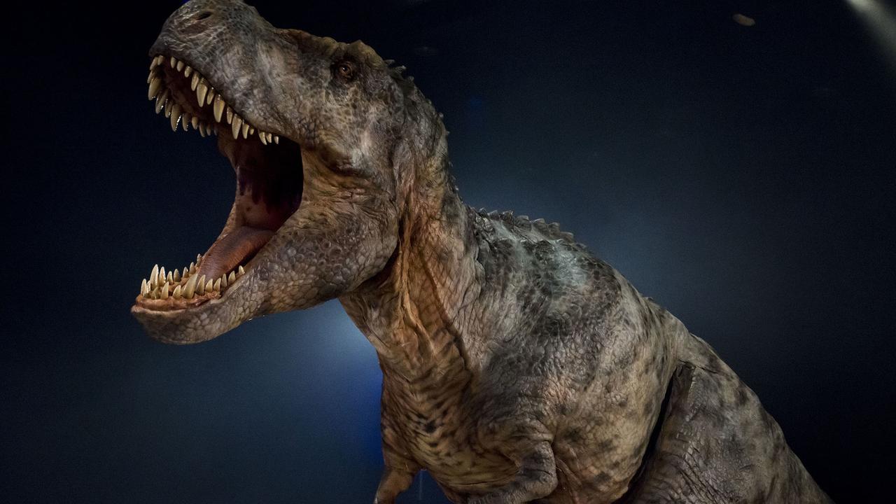 Тираннозавр рекс фото из реальной жизни