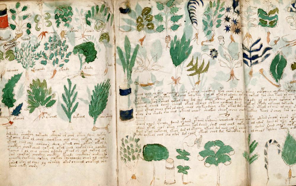 Как раскрывают тайны манускрипта Войнича: расследование Indicator.Ru ...