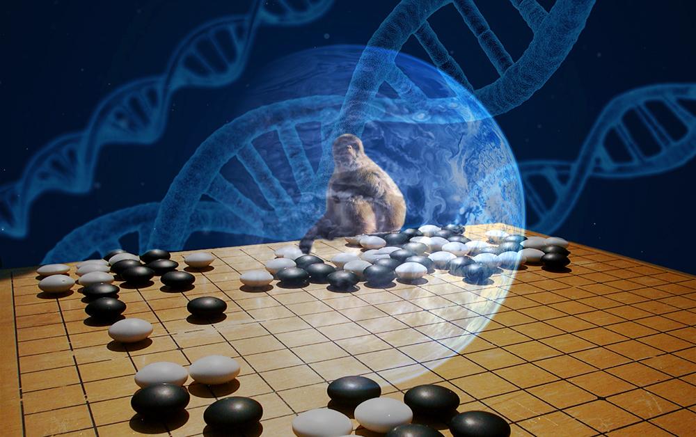 X science. Ksp наука. Allie x album. Журнал science обложка прорыв года 2001 год нанотехнология. Tbs химия.