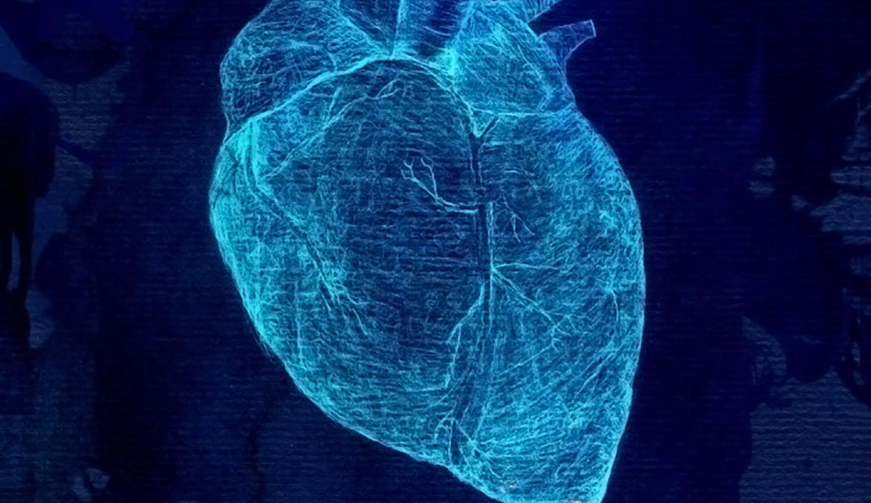 Digital heart. Цифровое сердце. Цифровое сердечко. Сердце Информатика. Сердце по информатике.